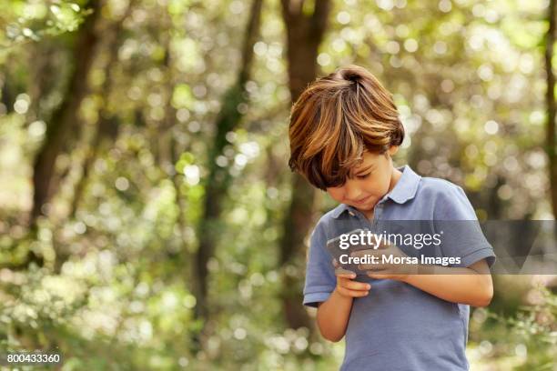 lachende jongen gebruik mobiele telefoon in bos - child mobile phone stockfoto's en -beelden