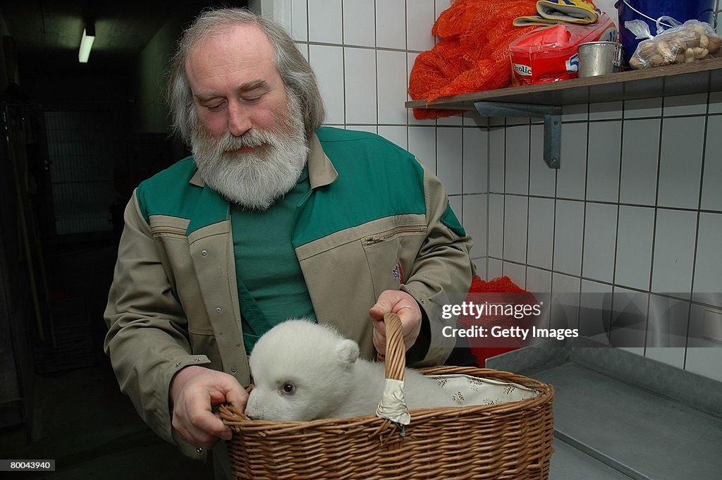 Polar Bear Cub In Stuttgart Zoo