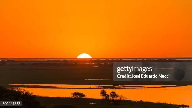 sunset view from pantanal - imagem a cores ストックフォトと画像