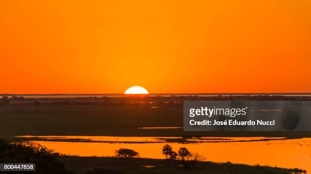 sunset view from pantanal - silhueta stockfoto's en -beelden