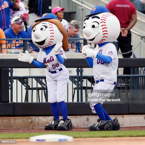 498 New York Mets Mascot Mrs Met Stock Photos High Res Pictures And 498-new-york-mets-mascot-mrs-met-stock-photos-high-res-pictures-and