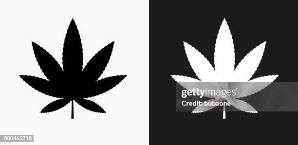 marijuana icon on black and white vector backgrounds - herbs black background stock illustrations