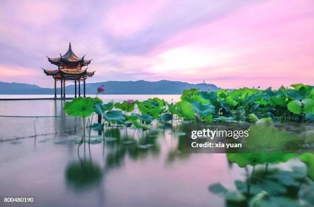 a pink sunset over the west lake,hangzhou,china - pavillon de verdure photos et images de collection