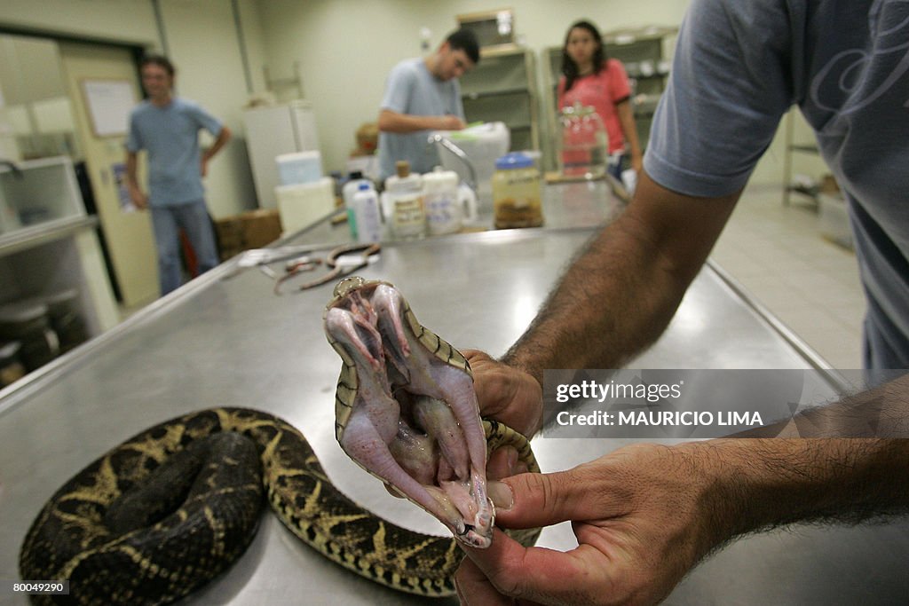 TO GO WITH AFP STORY Closeup taken on Fe