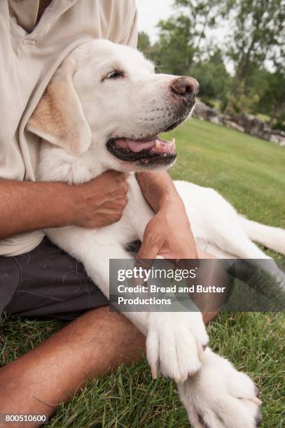 adult man hugging his yellow labrador retriever - yellow labrador retriever stock pictures, royalty-free photos & images