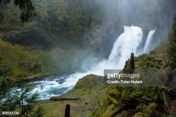 sahalie falls on the mckenzie river - oregon wilderness stock pictures, royalty-free photos & images