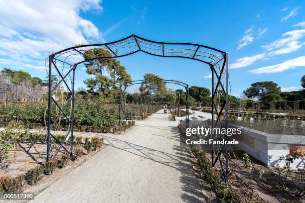 rose garden, retiro park, madrid - garden gate rose stock pictures, royalty-free photos & images