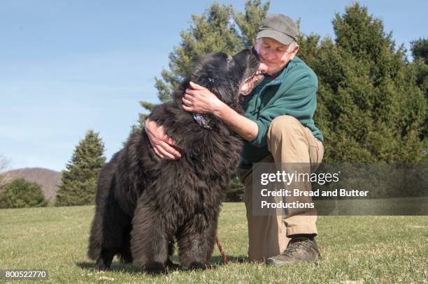 senior man hugging his newfoundland dog - newfoundlandshund bildbanksfoton och bilder