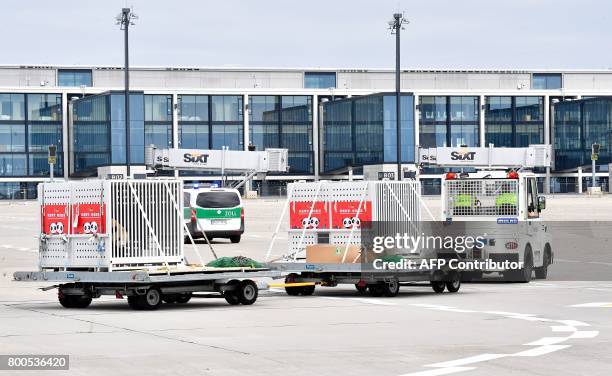 Transport boxes with two pandas are driven over the runway after landing at Schoenefeld airport near Berlin on June 24, 2017. Two long-awaited giant...