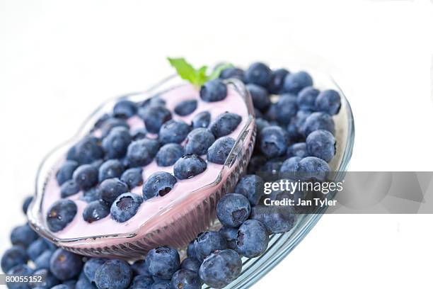 fresh blueberries in bluberry flavored yogurt. - bluberry imagens e fotografias de stock