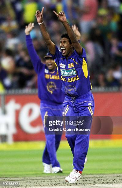 Nuwan Kulasekara of Sri Lanka celebrates the wicket of Ricky Ponting of Australia during the Commonwealth Bank Series One Day International match...