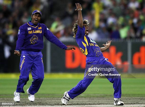 Lasith Malinga of Sri Lanka celebrates the wicket of Brad Haddin of Australia during the Commonwealth Bank Series One Day International match between...