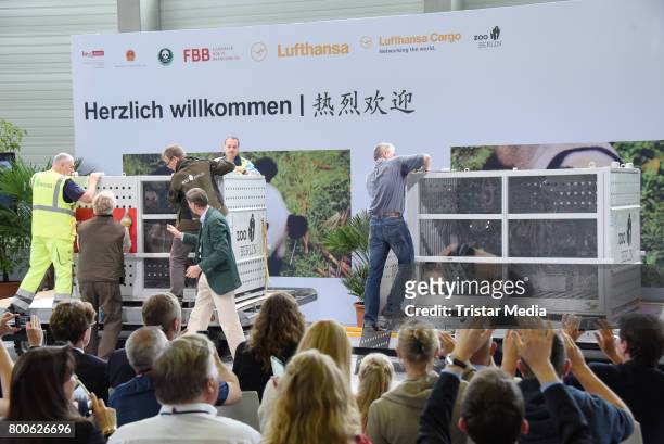 The Panda bears arrive at airport Berlin Tegel on June 24, 2017 in Berlin, Germany.