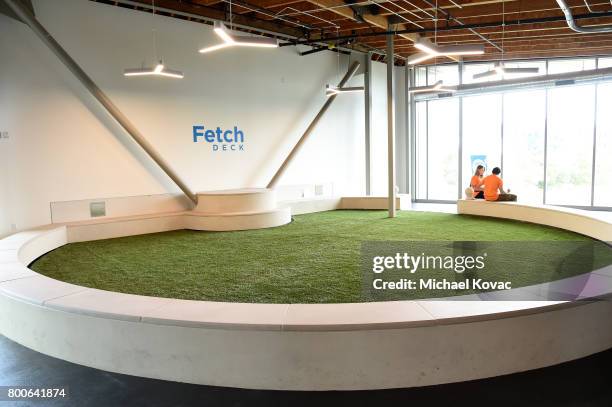 View of the atmosphere at the grand opening of The Wallis Annenberg PetSpace on June 24, 2017 in Playa Vista, California.