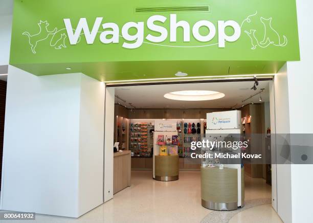 View of the atmosphere at the grand opening of The Wallis Annenberg PetSpace on June 24, 2017 in Playa Vista, California.