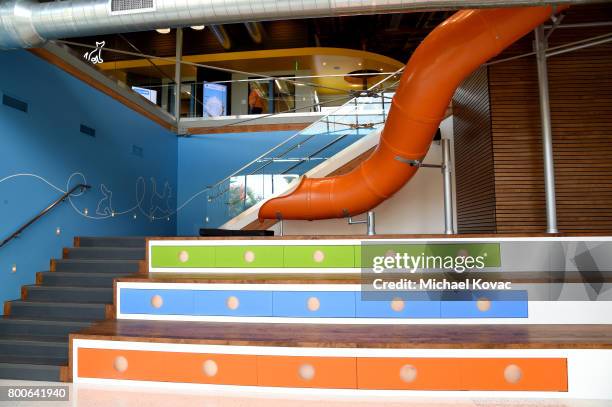 View of the atmosphere at the grand opening of The Wallis Annenberg PetSpace on June 24, 2017 in Playa Vista, California.