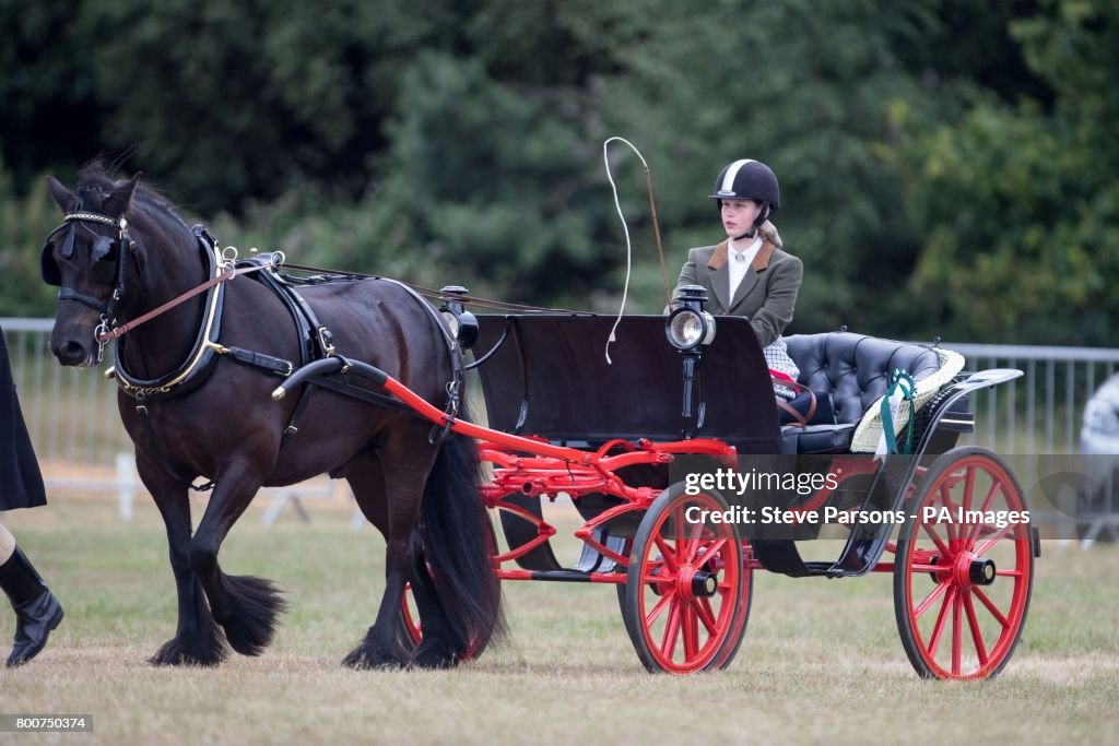 Royal Windsor Cup polo tournament -Windsor