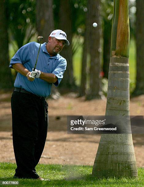 Mark Calcavecchia hits a shot left-handed on the second hole during the third round of the Honda Classic at PGA National Resort and Spa March 1, 2008...
