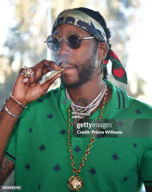 Rapper 2 Chainz attends a Private Celebration For Pretty Girls Like Trap Music Release and Vince Staples 'Big fish' theory on June 24, 2017 in Los...