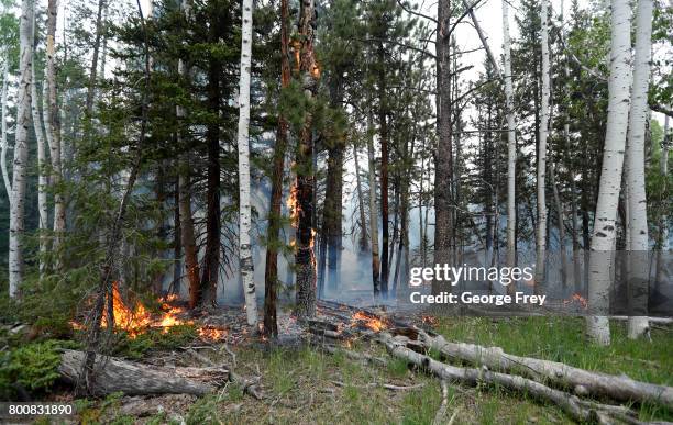 Wildfire burns through trees and ground cover on June 25, 2017 outside Panguitch, Utah. The fire named the "Brian Head Fire" started last week and...