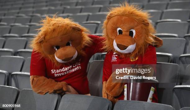 Lions fans are dejected after their defeat during the Test match between the New Zealand All Blacks and the British & Irish Lions at Eden Park on...