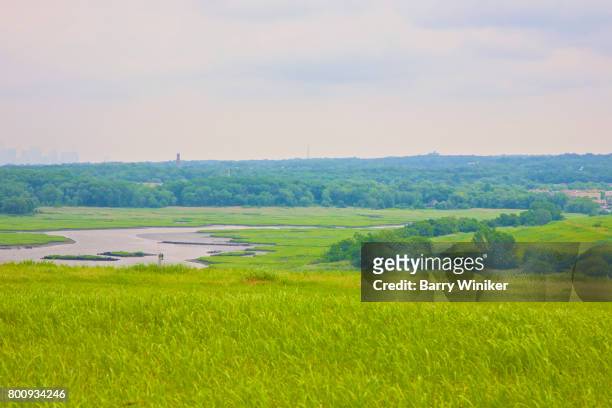 upland grasses above meandering water - barry park foto e immagini stock