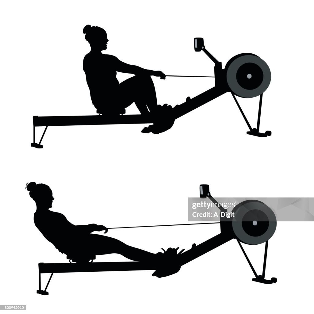 Female Rowing Vector Image Rowing Workout High-Res Vector Graphic - Getty Images