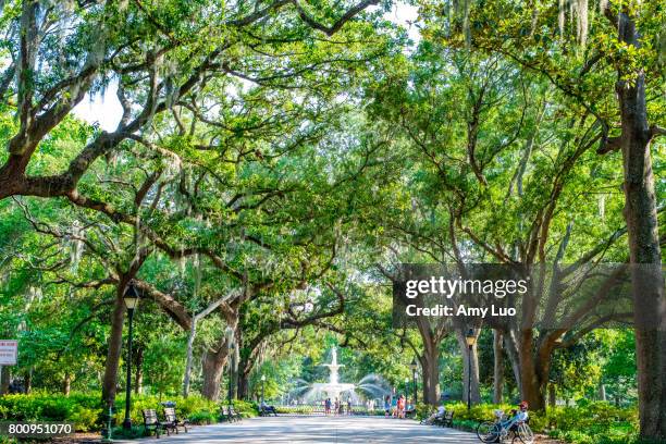 forsyth park savannah - サバンナ ストックフォトと画像