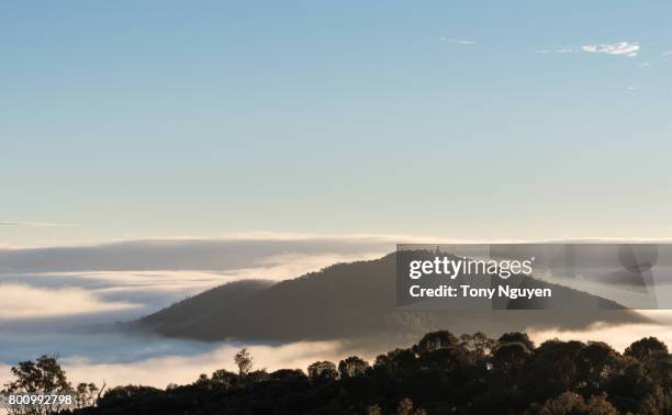 beautiful landscape in canberra in early morning. view from mount ainslie lookout, one of the most attraction for visitors and tourists over the world. - canberra museum stock pictures, royalty-free photos & images