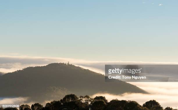 beautiful landscape in canberra in early morning. view from mount ainslie lookout, one of the most attraction for visitors and tourists over the world. - canberra museum stock pictures, royalty-free photos & images