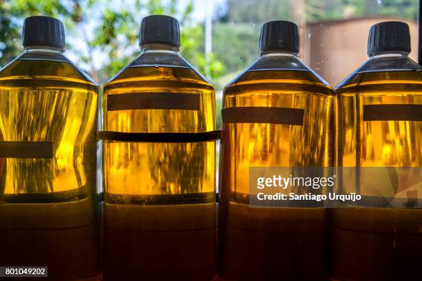 bottles full of biodiesel - bio diesel foto e immagini stock