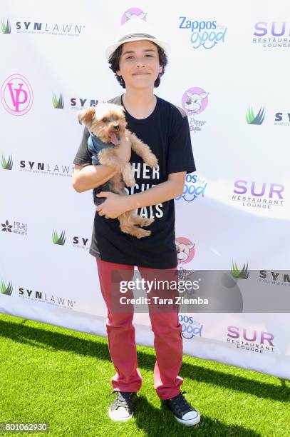 Actor Hunter Payton attends 2nd Annual World Dog Day at Vanderpump Dogs on June 25, 2017 in Los Angeles, California.