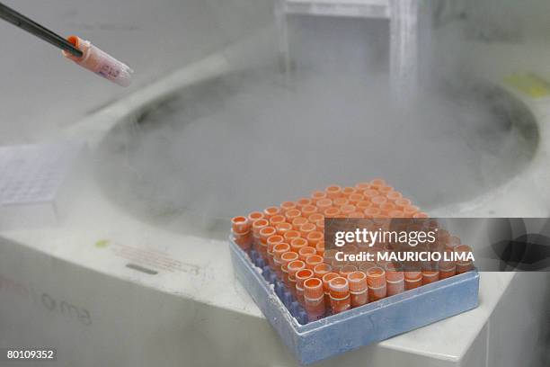 Scientific researcher handles frozen embryonic stem cells in a laboratory, at the Univestiry of Sao Paulo's human genome research center, in Sao...