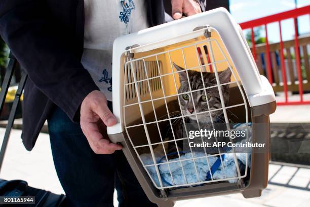 Resident of the Dorney Tower residential block on the Chalcots Estate in north London on June 26 carries their cat in a crae as residents continue to...