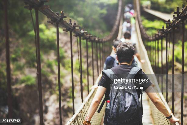 The suspension bridge in the forest