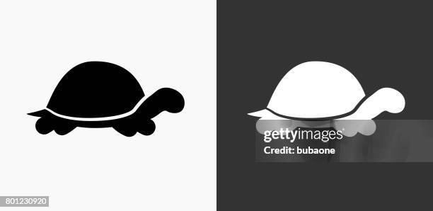 turtle icon - tortoise stock illustrations