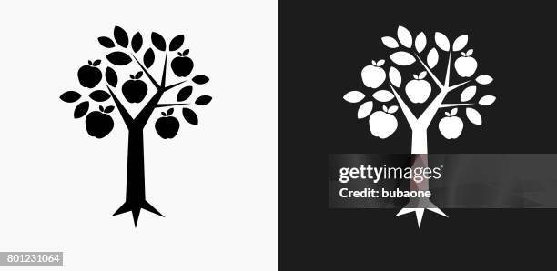 baum-apple-symbol auf schwarz-weiß-vektor-hintergründe - apfelbaum stock-grafiken, -clipart, -cartoons und -symbole
