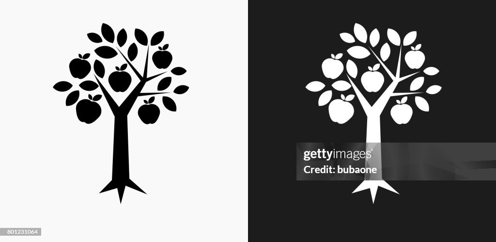 Tree Apple Icon on Black and White Vector Backgrounds