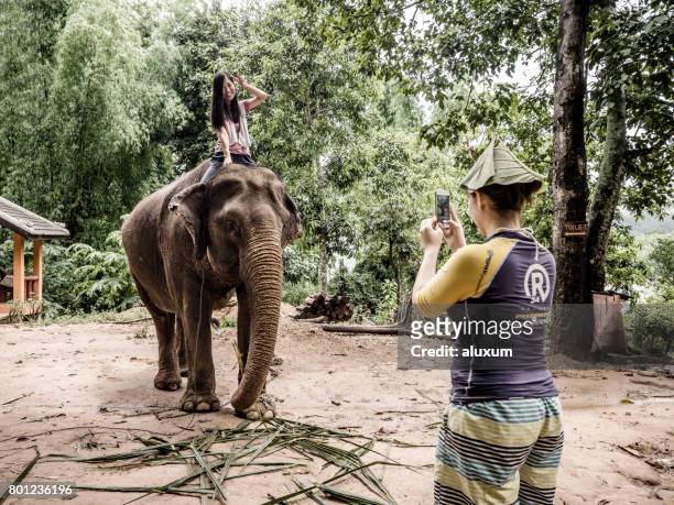 tourists riding elephant in luang prabang laos - luang prabang stock pictures, royalty-free photos & images