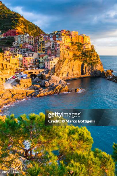 manarola, cinque terre, italy. - manarola stock pictures, royalty-free photos & images