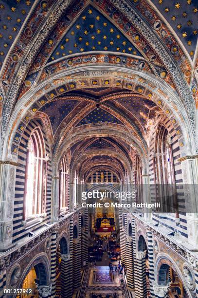 siena cathedral. tuscany, italy. - catedral interior fotografías e imágenes de stock