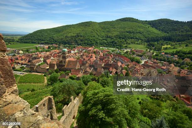 view of the city from the castle - haut rhin stock-fotos und bilder