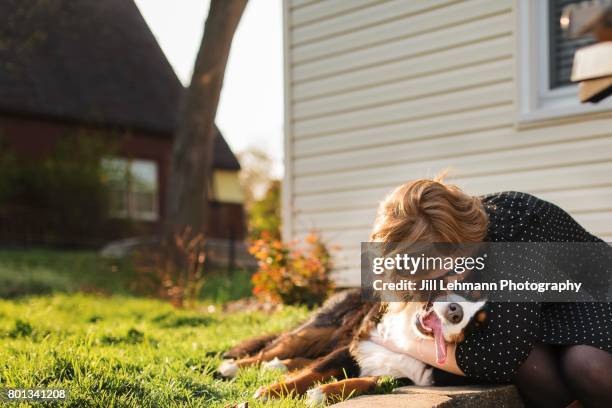 a bernese mountain dog is hugged by owner outside - dogs life royals and their dogs stock-fotos und bilder