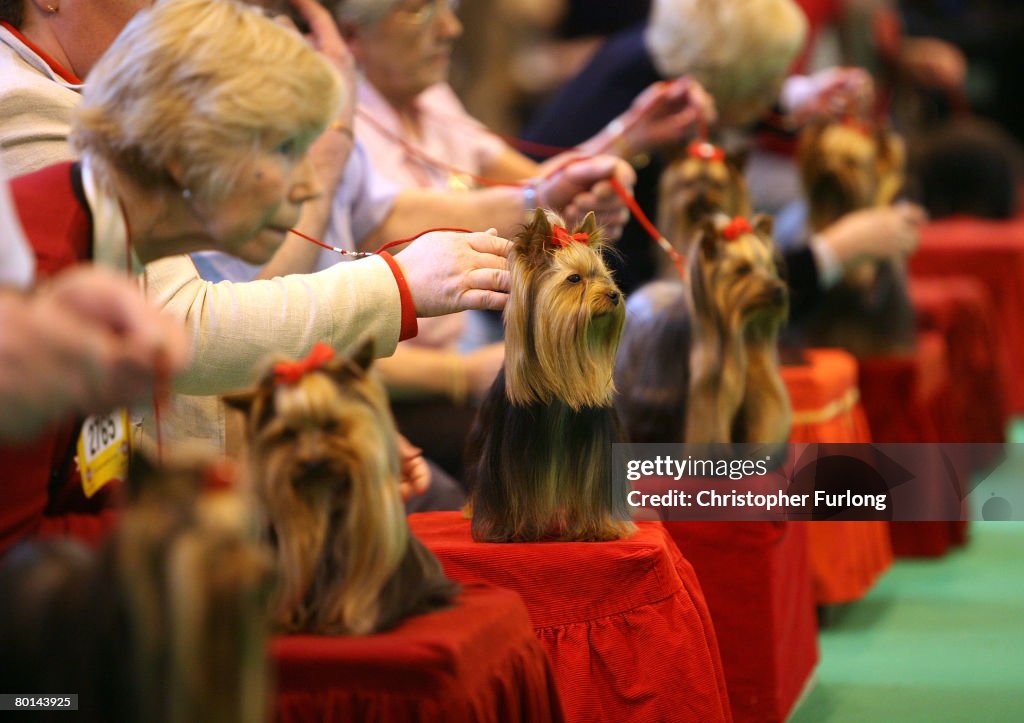 Dogs And Owners Gather For Annual Crufts Dog Show