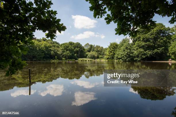 queen's mere, wimbledon, london - putney london stock pictures, royalty-free photos & images