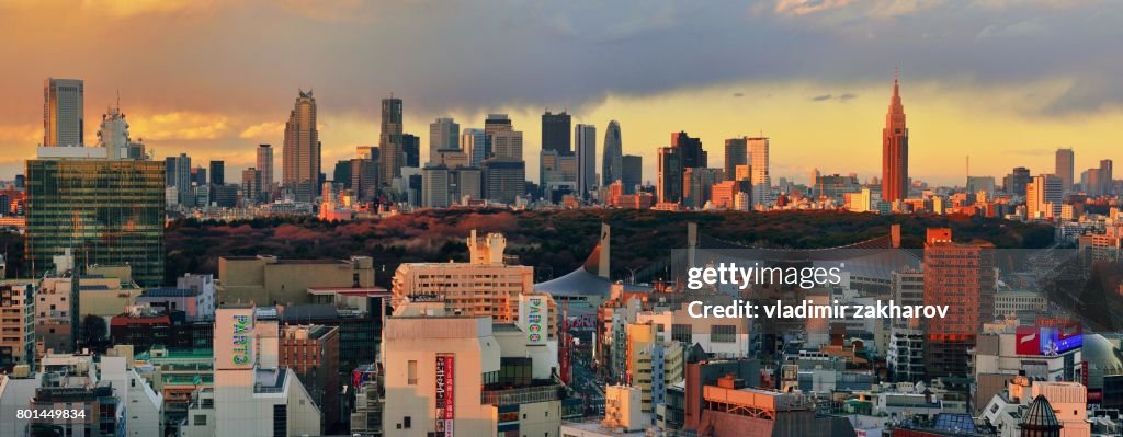 Panoramic view of Tokyo at sunset