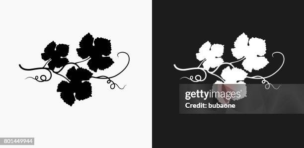 traube blätter symbol auf schwarz-weiß-vektor-hintergründe - wine grapes stock-grafiken, -clipart, -cartoons und -symbole