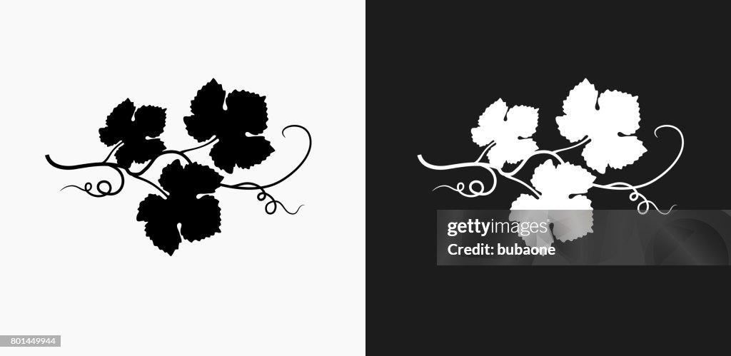 Druif Leafs pictogram op zwart-wit Vector achtergronden