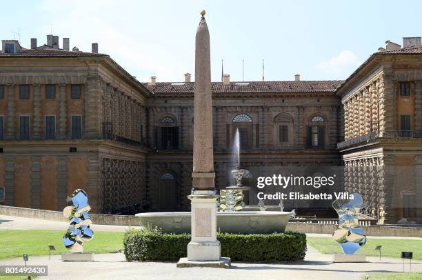 Helium' and 'Neon' sculptures are shown as contemporary artist Helidon Xhixha opens his new exhibition of sculpture at Boboli Garden on June 26, 2017...