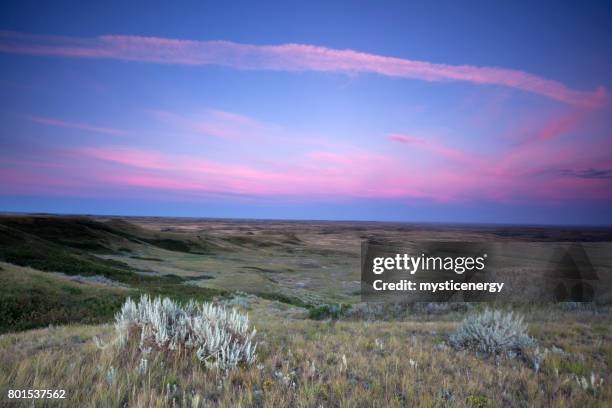 grasslands national park saskatchewan canada - saskatchewan prairie stock pictures, royalty-free photos & images